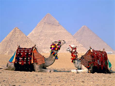 Cairo egypt located on both banks of nile river near to the head of the river's delta in northern egypt. Cairo The Capital Of Egypt | Travel Featured