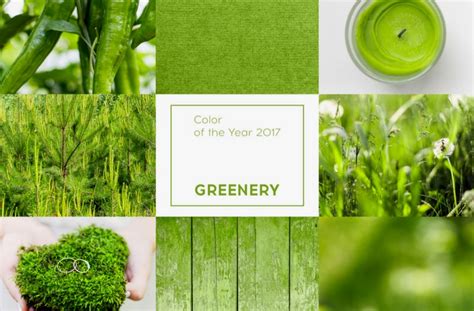 Decorating 2017 ‘greenery Is The New Color For Your Home Lamudi