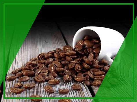 Daun sirsak sendiri memiliki kandungan yang luar biasa sehingga dapat menyembuhkan beberapa penyakit serta membunuh sel. Bahaya Minum Pelangsing Green Coffee 1000 | Kopi Diet
