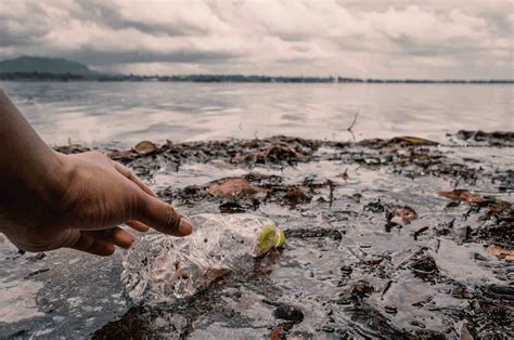 Unseen Dangers: The Truth About Microplastics in Our Water and Rayne's