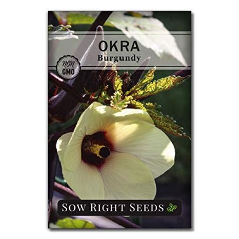 Sow Right Seeds Burgundy Okra Seed For Planting Non Gmo Heirloom