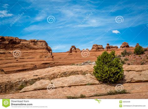 Sandstone Arches And Natural Structures Stock Photo Image Of Arches
