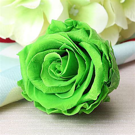 Meanings Behind Rose Colors For Your Ideal Bouquet Fnp Sg