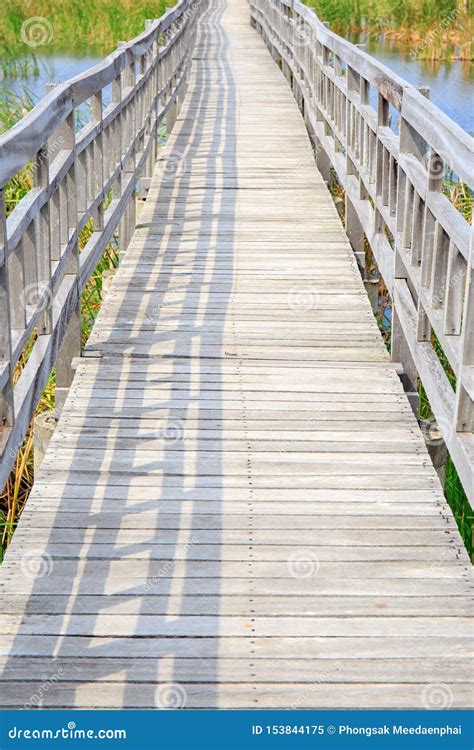 Walkway Or Walk Path Wooden Bridge In Lake Swamp Or River Stock Image