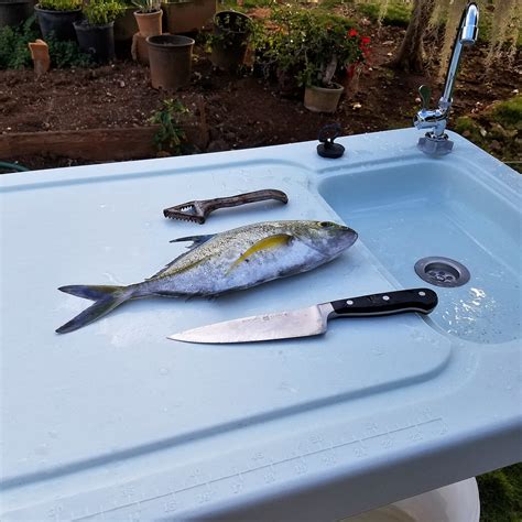 The majority of fish cleaning tables share a similar design that includes a table to fillet your fish and a sink/faucet to help keep the table at least. Product Review: Fish cleaning tools - Hawaii Nearshore Fishing