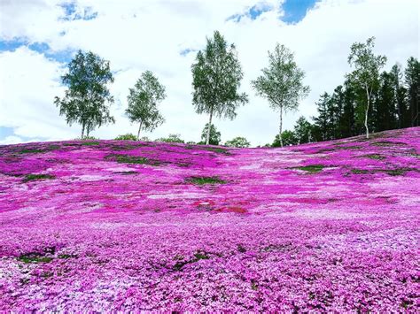 Discover The Most Colorful Landscapes In The World Touring Details