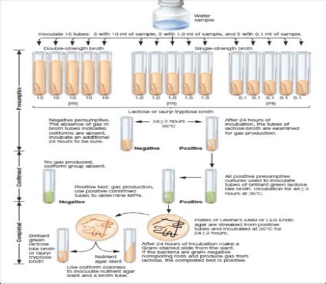 Multiple Tube Fermentation Technique For Water Testing Source Prescott Download Scientific