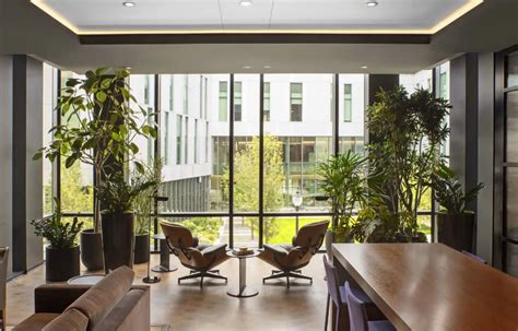 The Benefits Of Biophilic Design In Hotels And Offices