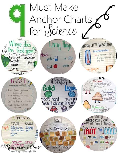 9 Must Make Anchor Charts For Science Mrs Richardsons