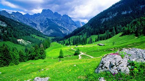 Berchtesgadener Alpen National Park Bavaria Germany Beautiful Green