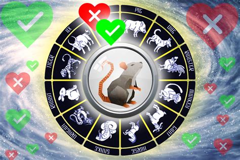 Chinese Zodiac Animals Who Is The Best Love Match For The Rat Sign