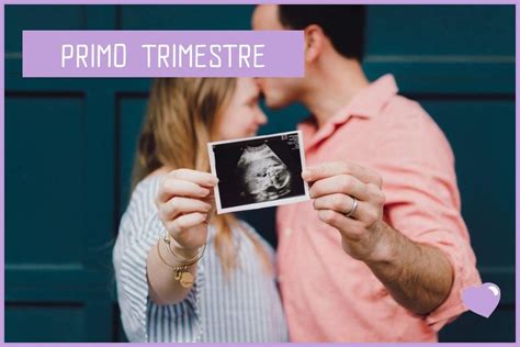 Per convenzione, le gravidanze si contano in settimane. Il mio Primo Trimestre di gravidanza: i passaggi che devi ...