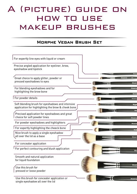 Ultimate Brush Guide Makeup Brush Uses How To Use Makeup Makeup