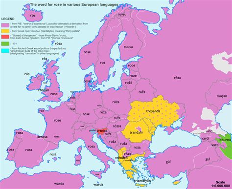 The Word For “rose” In Various European Languages Maps On The Web