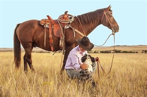 500 Cowboy Dog Names That Perfectly Suit Your Canine Buckaroo