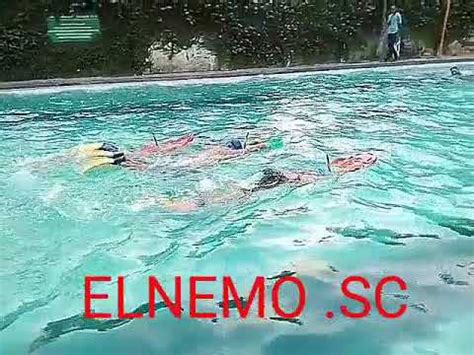 Kali ini, kita akan menyajikan rangkuman pengalaman menarik para pengunjung hotel, yang konon katanya layak diberi. SWIMMING BUTTERFLY. KOLAM RENANG CIHERANG INDAH ISLAMI ...