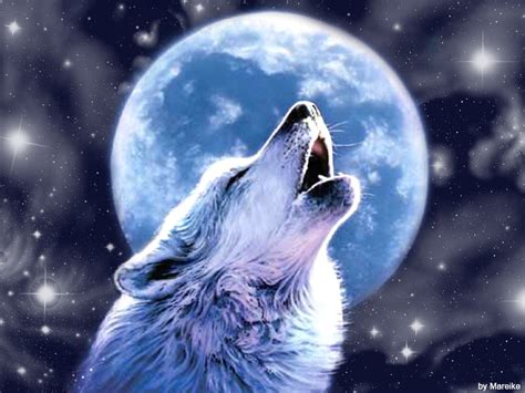 38 Wolf Full Moon Wallpaper Wallpapersafari