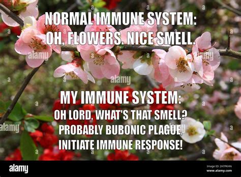 Allergy Funny Meme For Social Media Sharing Spring Season Allergic Hay