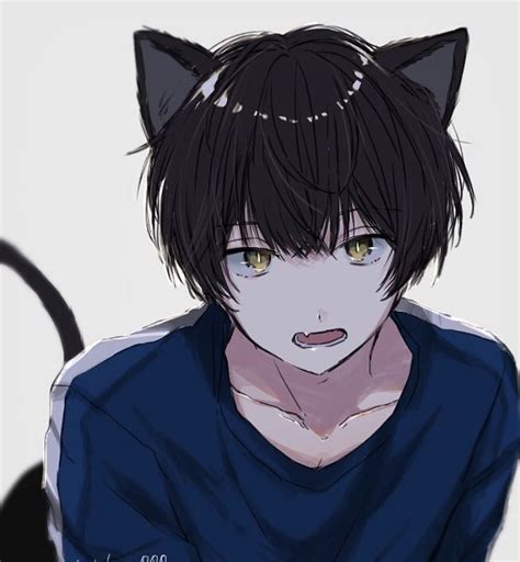 Cat Boy Anime Illustration Neko Anime Cat Boy Anime Drawings Boy