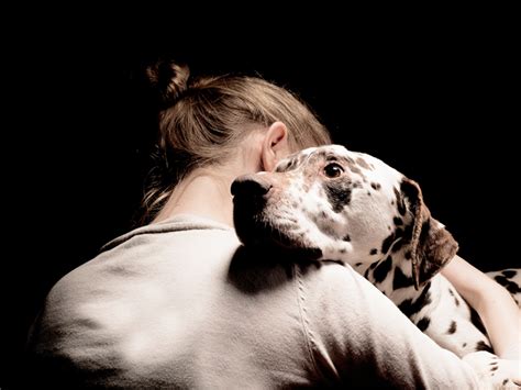New Study Shows Strength Of Dog Bond With Humans