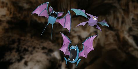 Pokemon Scarlet And Violet Fan Designs Creative Convergent Forms For