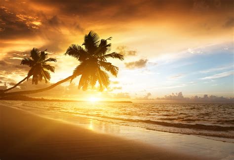 Картинка закат солнца пальмы море пляж экзотика обои на рабочий стол