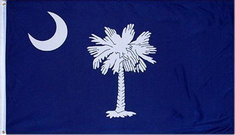 South Carolina Blue State Flag 3x5 3 X 5 Brand New Us By