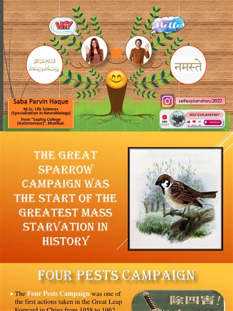 The Great Sparrow Campaign Pdf