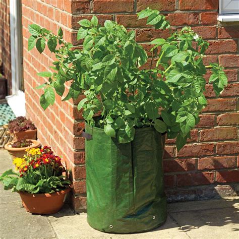 Potato Grow Bags From Mr Fothergills Seeds And Plants