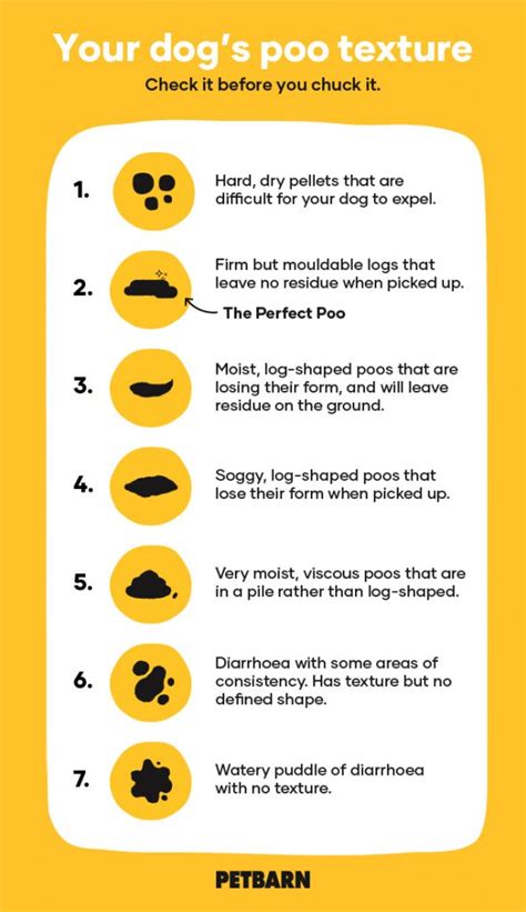 Dog Poo Chart What Each Stage Means Petbarn