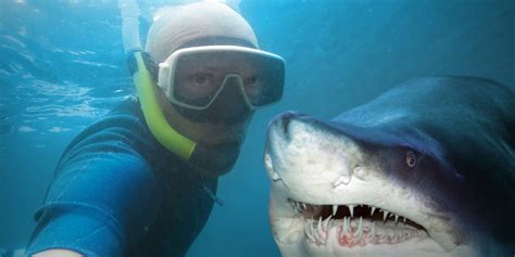 Selfie Incidents Have Killed More People Than Shark Attacks This Year