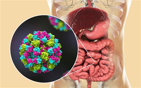 Having direct contact with an infected person. A new way to identify Norovirus in food - New Food Magazine
