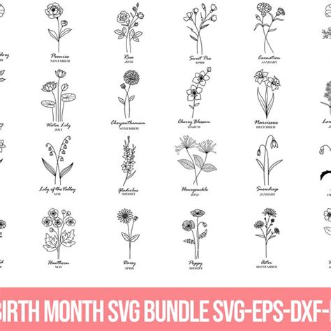 Birth Month Flower Svg Etsy