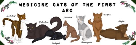 Medicine Cats Of The First Arc By Acacion On Deviantart