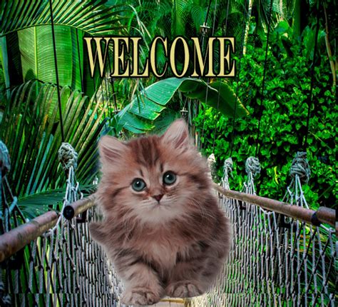 Cat Welcomes You Free You Are Welcome Ecards Greeting Cards 123