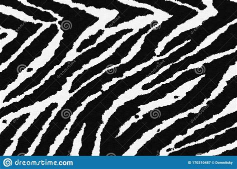 Zebra Fabric Texture Stock Image Image Of Layers Wild