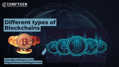 What Are The Different Types Of Blockchains