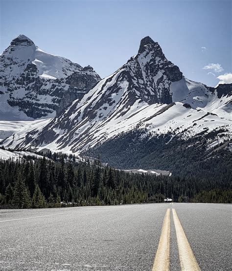 The 5 Best Places To Stop And Take Pictures On The Icefields Parkway
