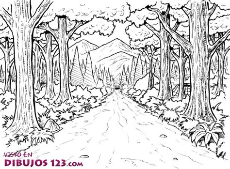 Paisajes de bosques para pintar | Colorear imágenes