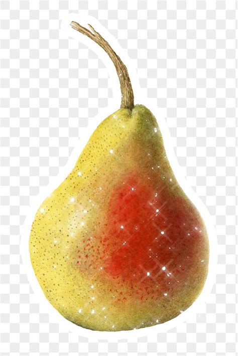 Hand Drawn Sparkling Pear Fruit Free Png Sticker Rawpixel