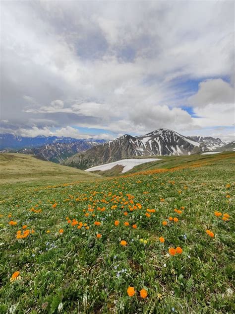 Sayan Mountains Buryatia Stock Image Image Of Prairie 260482707