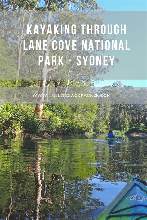 Kayaking Through Lane Cove National Park In Sydney Parks In Sydney