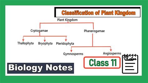 Classification Of Living Organisms Class 11 Notes Exam Study Live