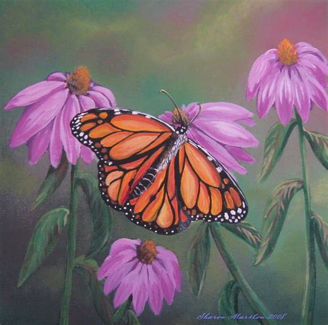 Monarch Painting By Sharon Marcella Marston Fine Art America