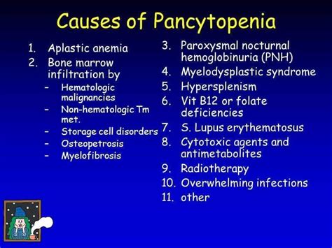 Causes Of Pancytopenia Nursing Tips Hematology Myelofibrosis