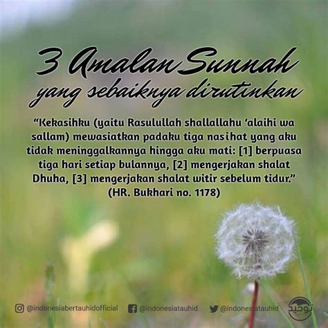 Karenanya, jangan tunda membayar utang jika sudah mampu untuk membayarnya. 3 Amalan Sunnah Yang Baik untuk Dirutinkan | Doa, Qur'an