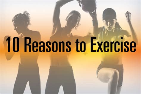 Top 10 Reasons Why You Should Exercise Commercial Fitness Octane Fitness