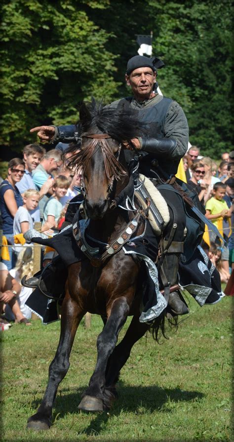 Knight Show Set 211 Free Stock Photo Public Domain Pictures