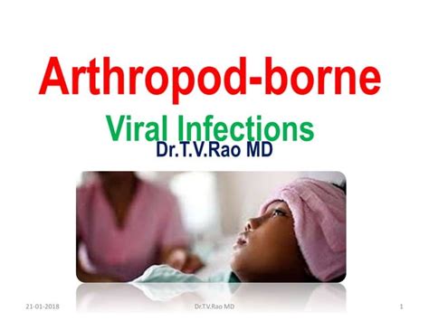 Arthropod Borne Viral Infections By Drtvrao Md Ppt