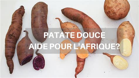Patate Douce Une Solution Pour L Afrique YouTube